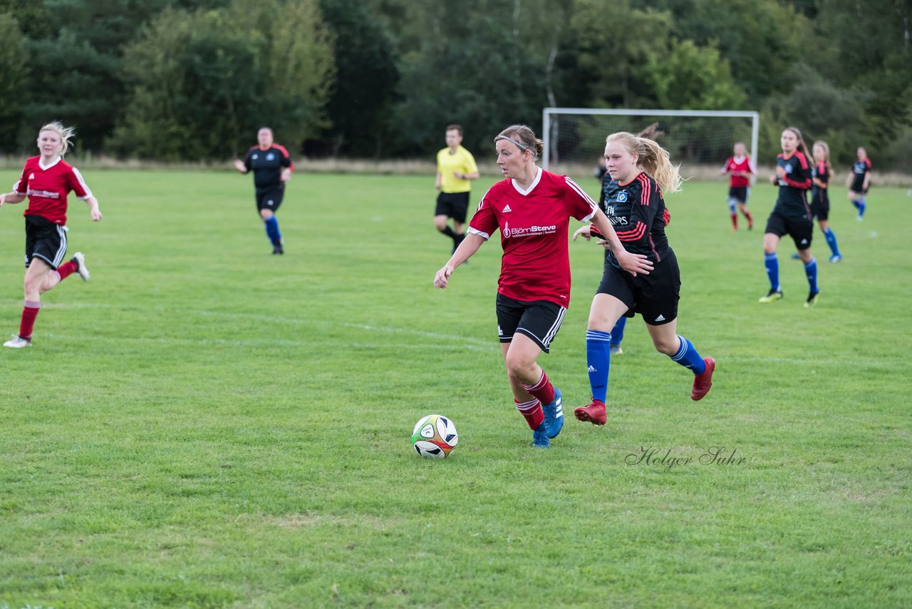 Bild 277 - Frauen SG NieBar - HSV 2 : Ergebnis: 4:3